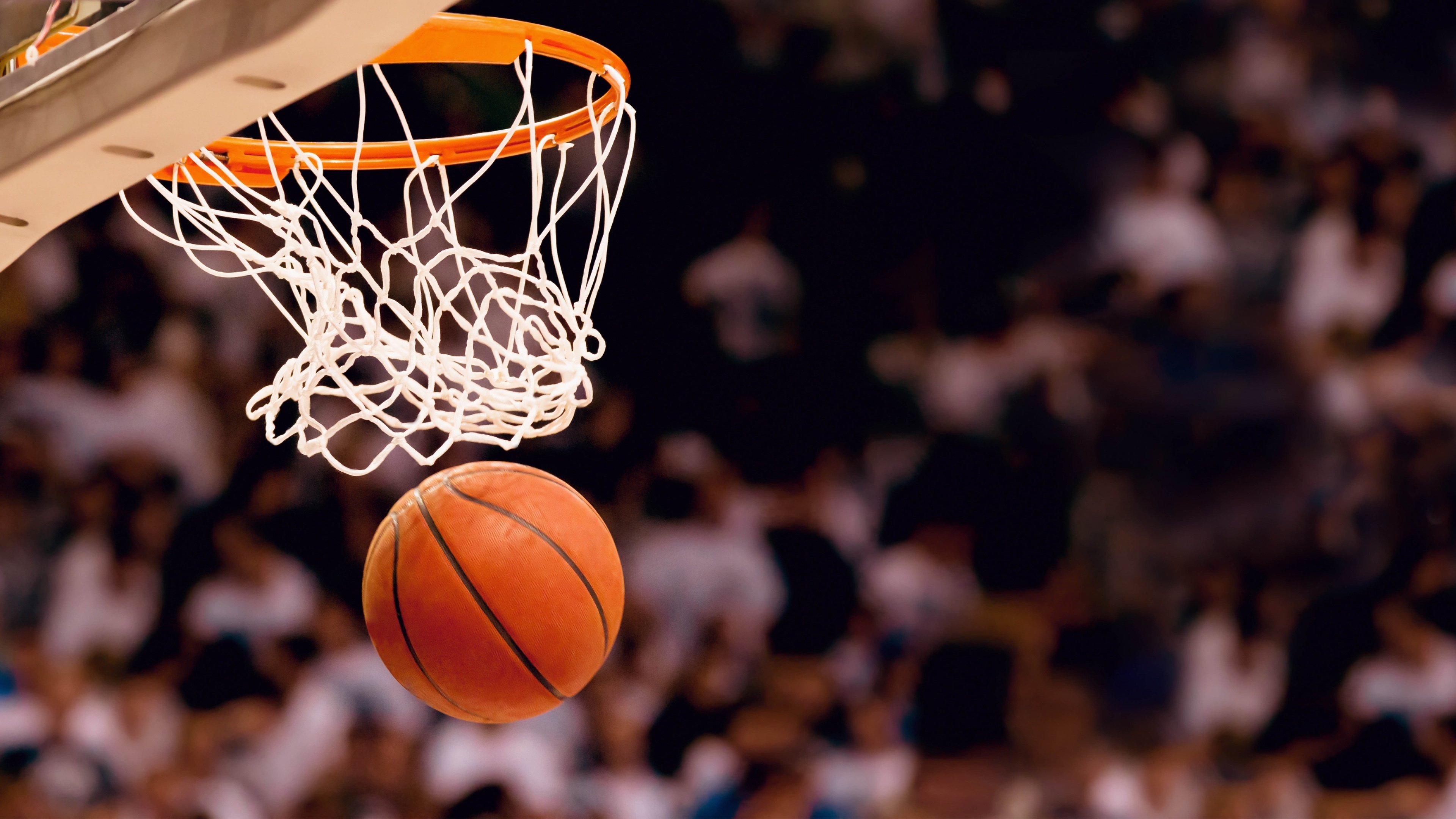 世界杯网站-当温网冠军遇上NBA篮网，科维托娃的跨界奇遇